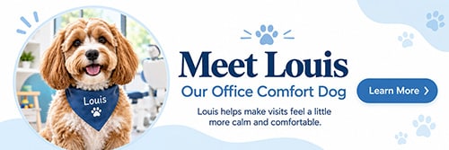 Meet Louis, our office comfort dog – Learn more